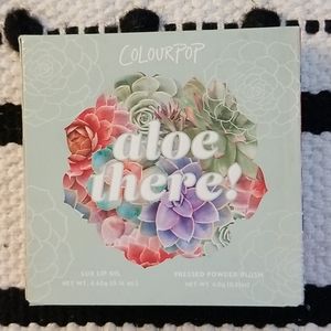 Colourpop Aloe There blush/lip oil duo